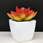Artificial Succulent Desk Plant shown from another angle