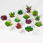 Artificial Succulent Desk Plant